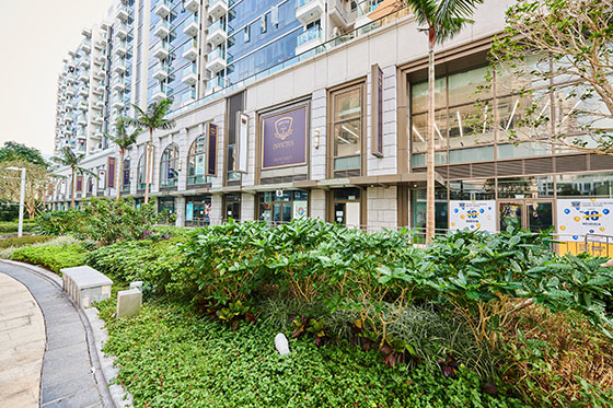 invictus-school-hk-c374104bf8c615732e7912b686f5eb84.jpg